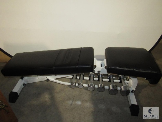Nautilus Weight Bench with Dumbells 2.5 - 10 lbs