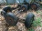 Lot rear axles with wheels and tires