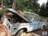 1969 Chevrolet Chevy C/10 Truck long bed for Parts or scrap