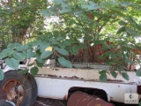 Chevrolet Chevy Truck Long Bed for Parts or scrap Custom Deluxe 10