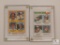 Lot of (2) 1977 and 1978 Rookie Baseball Cards