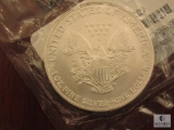 2005 American Eagle UNC Silver Dollar