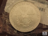 2007 American Eagle UNC Silver Dollar