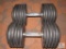 Set of 2: 115 pound dumbbells