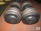 Lot of 2: 100 pound dumbbells