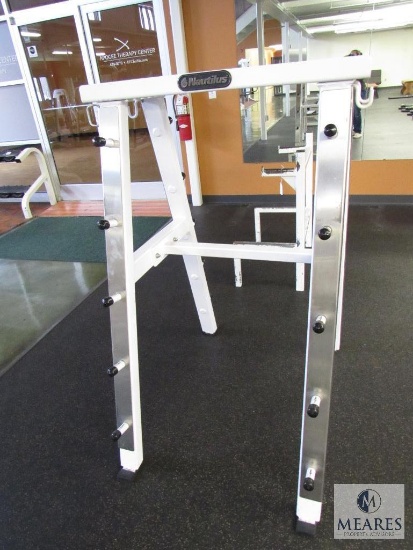 Nautilus Steel Short Barbell Rack