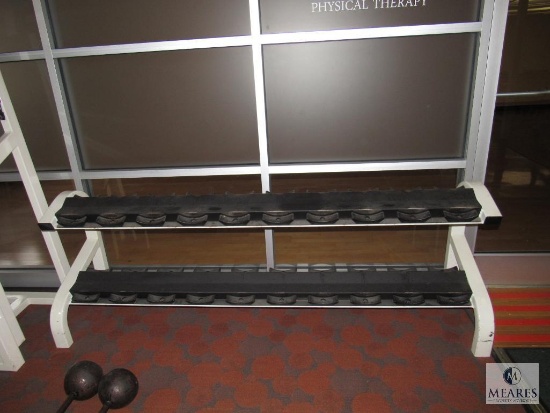 Dumbbell rack - steel - holds 22