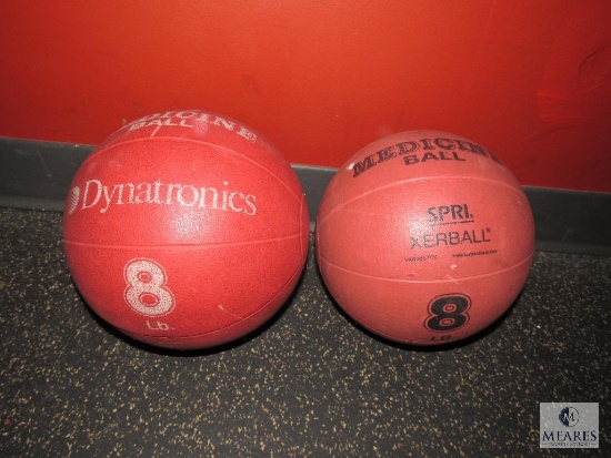 Lot of 2: 8-pound SPRI Xerball Medicine Balls