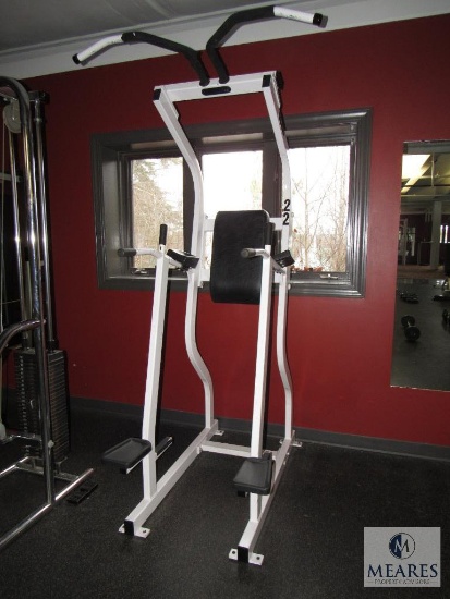 Nautilus Deadlift Pullup Crunch Dipping Machine