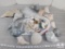 Lot of Assorted Shells, Conch Shells, Sand Dollars, Ceriths, Murex