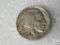 1934-D Buffalo Cent