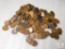 Approximately 1 Pound of Mixed Canadian Cents