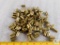 Approximately 100 Count .40 S&W Brass Tumbled Once Fired