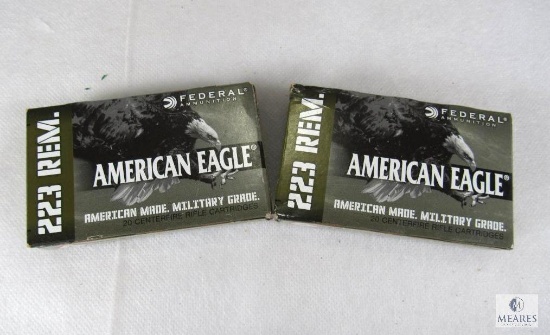 40 Rounds Federal American Eagle .223 REM 55 Grain FMJ Military Grade Ammo