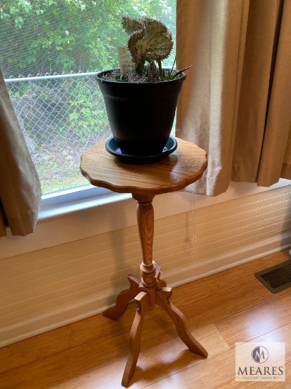 Decorator's Table with Live Succulent Planter