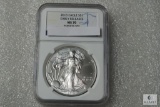 NGC Graded - 2013 American Silver Eagle Dollar, Early Releases - MS70