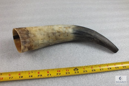 Bull Horn / Powder Horn Approximately 13" Long