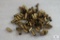 Lot approximately 50 .40 S&W Brass for Reloading