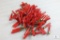 Lot approximately 100 Count .410 Shotgun Shell Hulls for reloading