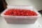 Large Container FULL 12 Gauge Mixed Shotgun Shell Hulls for Reloading