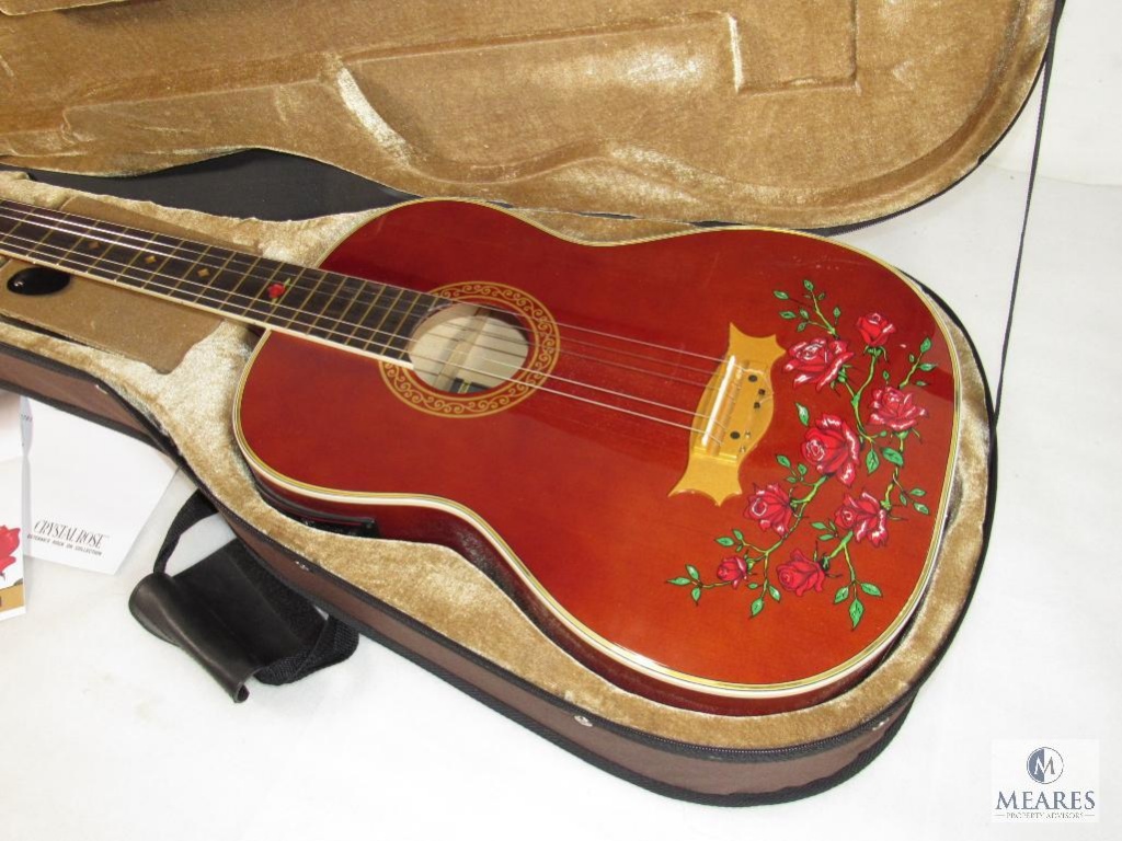 esteban guitar set