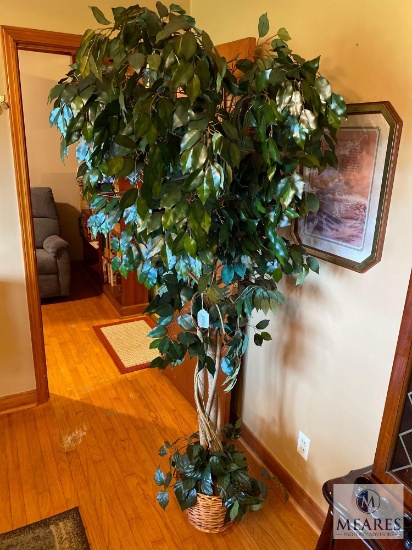 Large Faux Fichus Tree