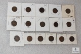 Lot of (16) mixed Indian Head cents