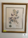 Framed Carolina Wren print - Anne Worsham Richardson