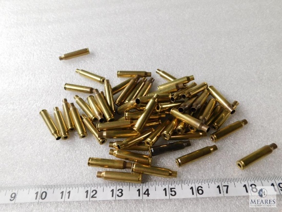Approximately 56 Count .223 Brass