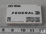 20 rounds 5.56 55 grain FMJ ammo