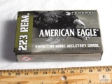 20 rounds .223 55 FMJ ammo