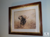 Guy Coheleach Framed Elephant Print Signed in Pencil