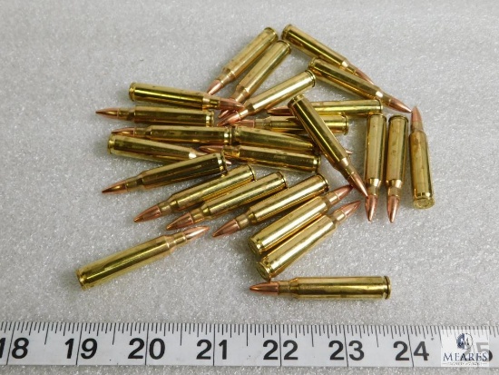 25 rounds new Federal .223 ammunition 55 grain FMJ