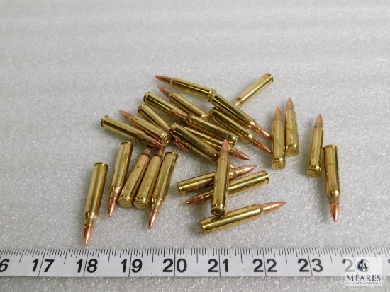 25 rounds new Federal .223 ammunition 55 grain FMJ