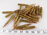 30-06 caliber ammo, 26 rounds