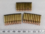 30 Rounds .223 REM 55 Grain FMJ Ammo on Stripper Clips (3 clips of 10 rounds each)