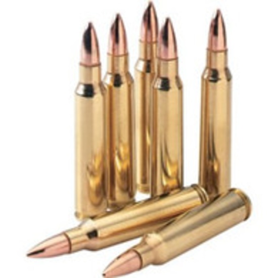 Multi-Consignor Ammunition & Sporting Event