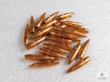 Lot of 25 Rifle Bullets - Caliber Not Listed