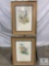 Pair of Framed and Matted Bird Prints Under Glass