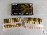 20 Rounds Federal Premium .308 WIN Mag 215 Grain FMJ Gold Medal Ammo