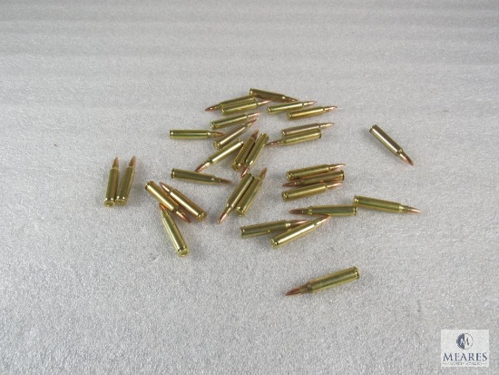 30 Rounds .223 55 grain FMJ
