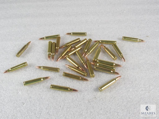 30 Rounds .223 55 grain FMJ