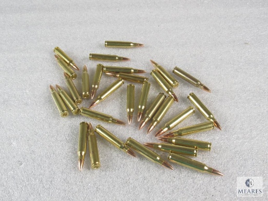 30 Rounds .223 55 grain FMJ