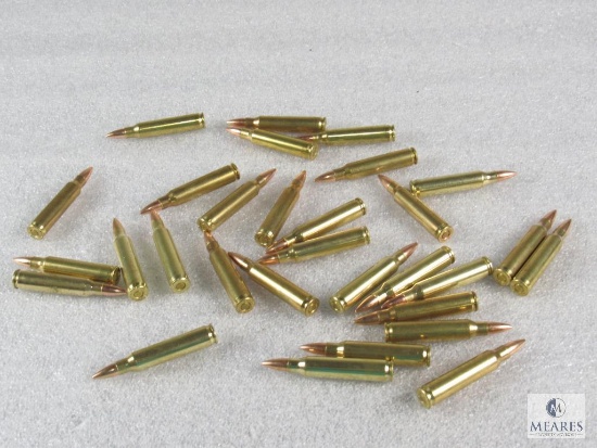 30 Rounds .223 55 grain FMJ