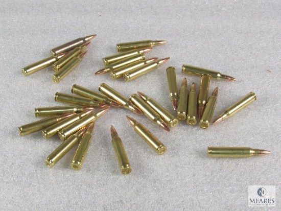 30 Rounds .223 55 grain FMJ