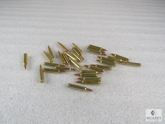 30 Rounds .223 55 grain FMJ