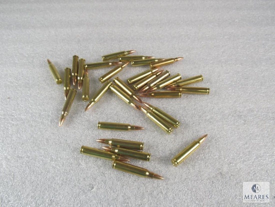 30 Rounds .223 55 grain FMJ