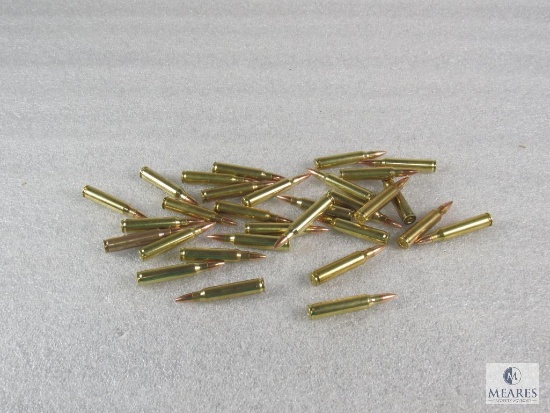 30 Rounds .223 55 grain FMJ