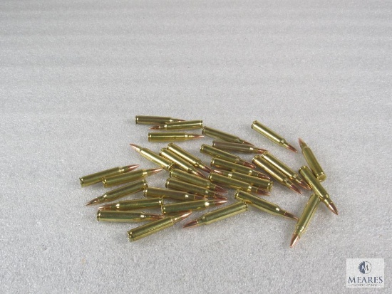 30 Rounds .223 55 grain FMJ