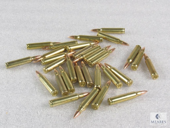 30 Rounds .223 55 grain FMJ